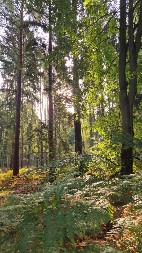 Foto von Steffi Kagelmacher aus Hamburg
