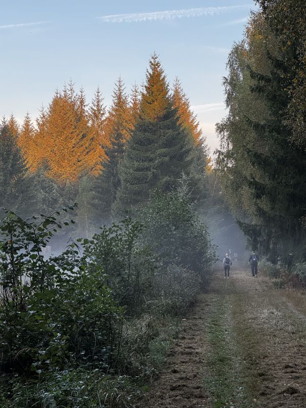 Foto von Sabine Herzog aus Admannshagen