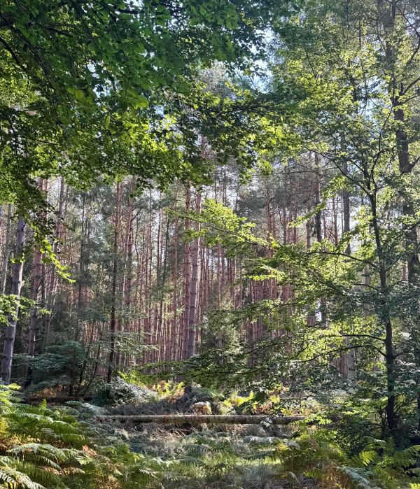 Foto von Annabell Reiß aus Rostock