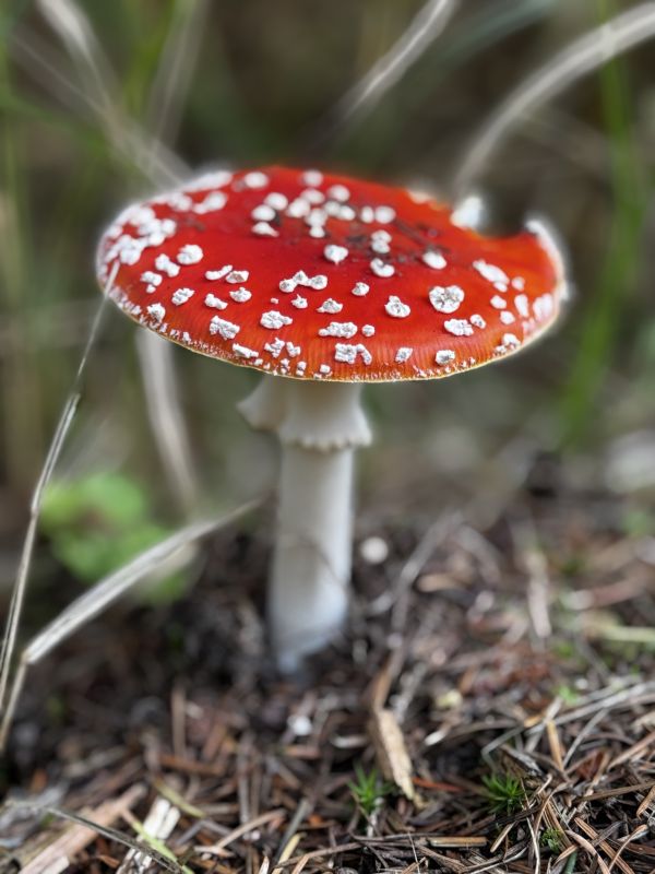 Foto von Denise Klement aus Rostock